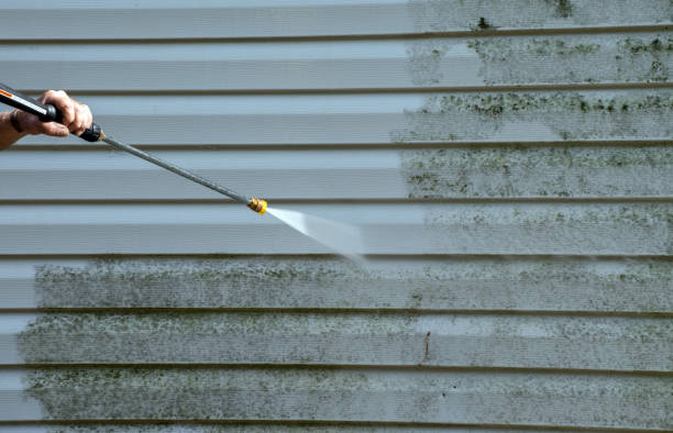 Best Fence Cleaning  in Palmer Lake, CO