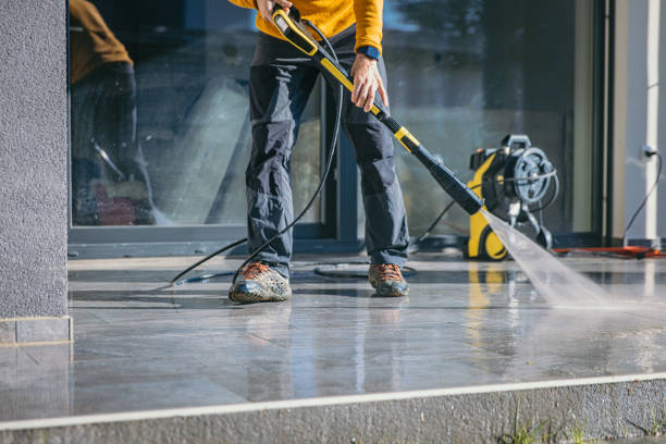 Best Animal Enclosure Cleaning  in Palmer Lake, CO